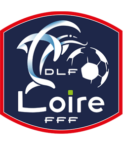 Logo client District de la Loire de football